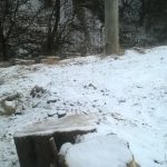 WP_20170216_09_19_22_Pro